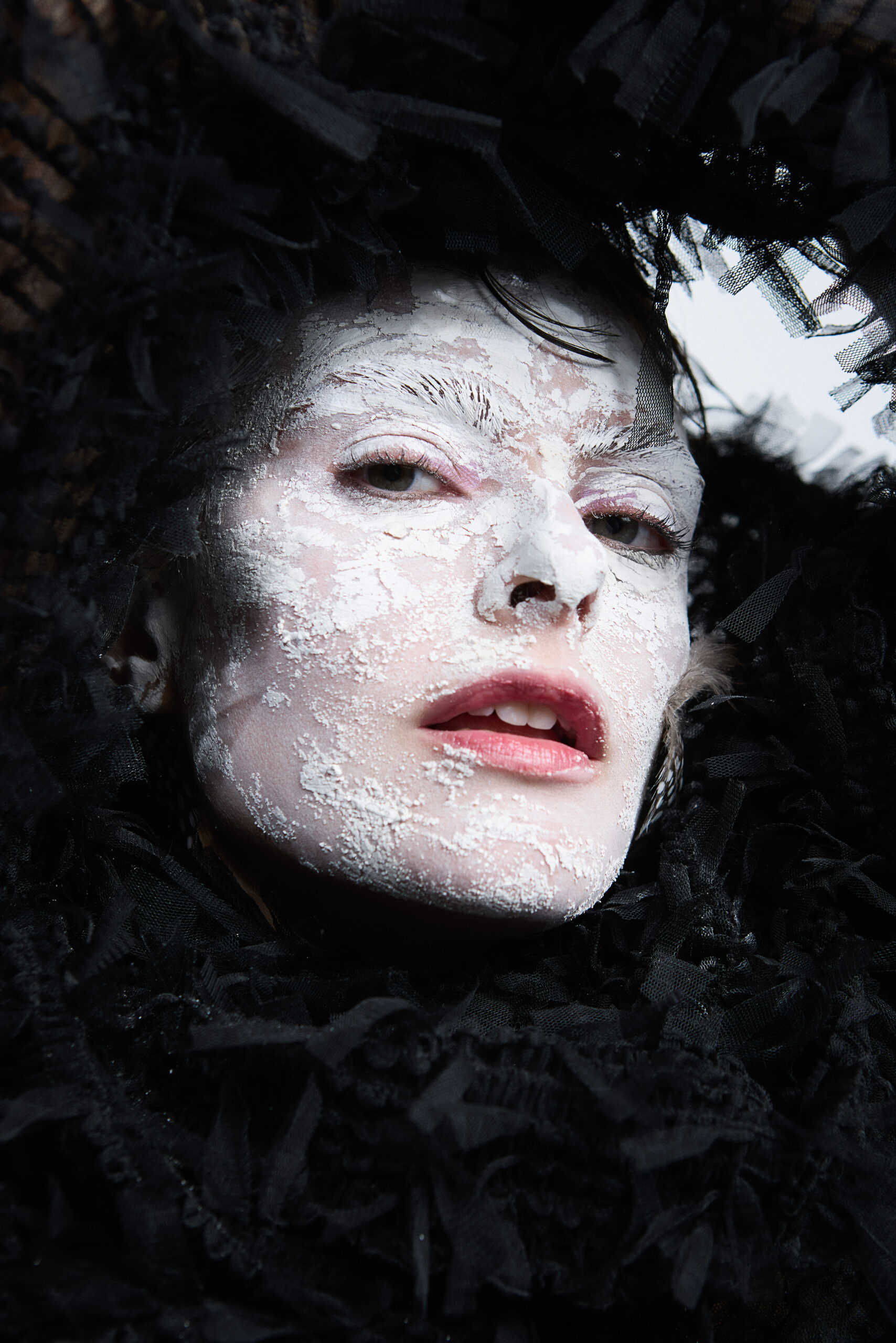 Fotos do Fotógrafo Moisés Costa