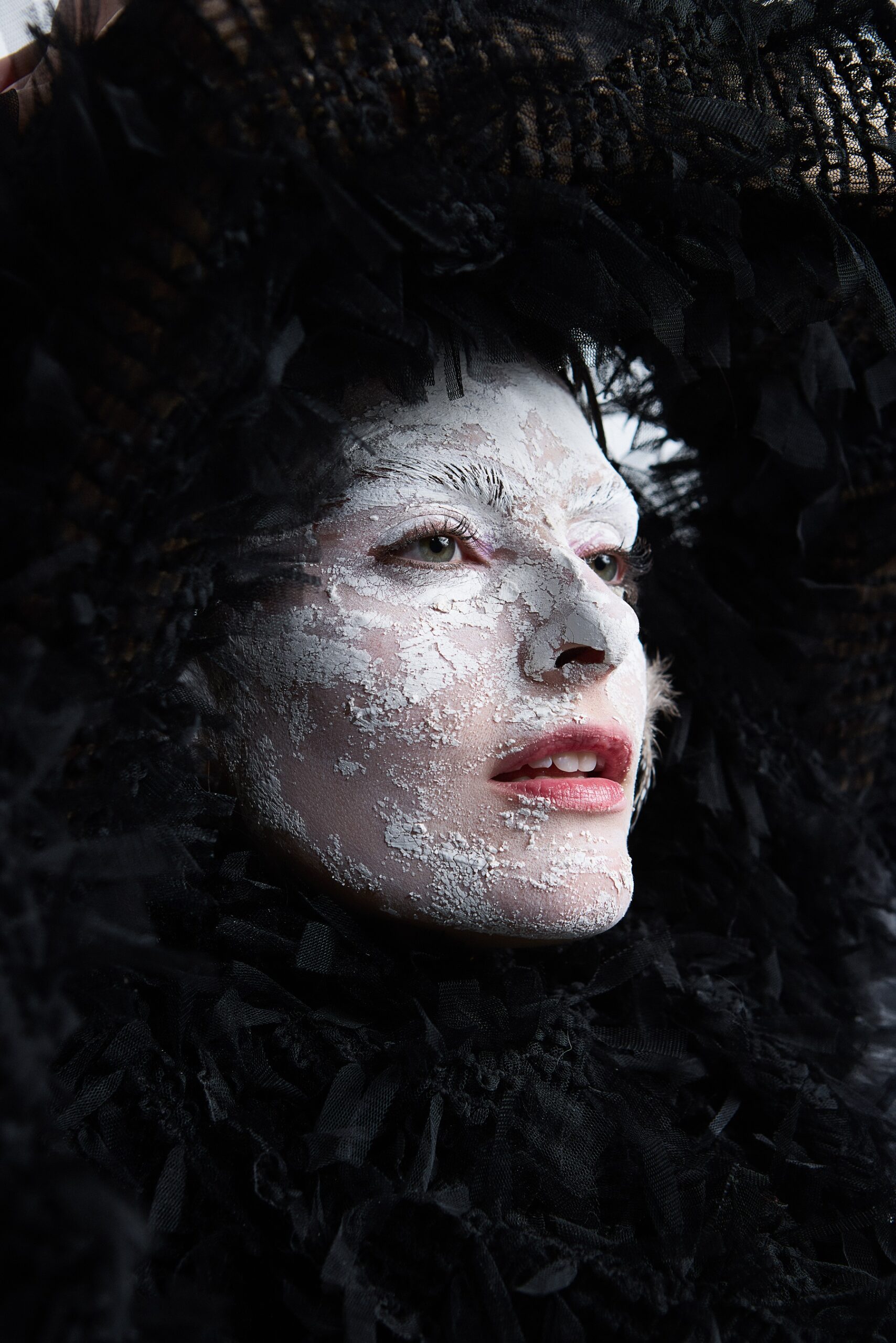 Fotos do Fotógrafo Moisés Costa