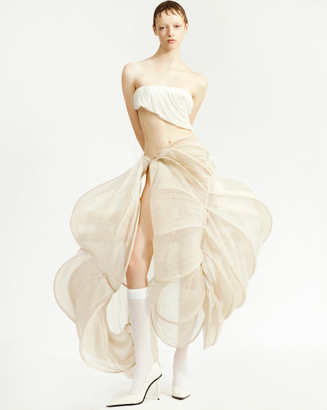 Fotos do Fotógrafo Rafael Cietto