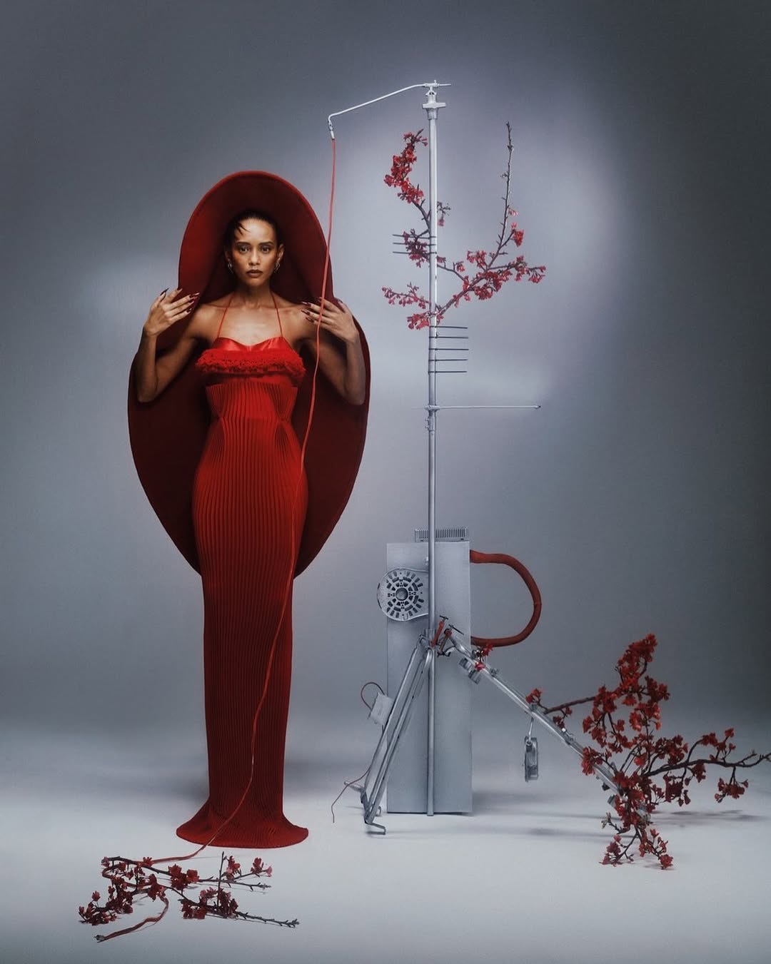 Fotos do Fotógrafo Rafael Cietto